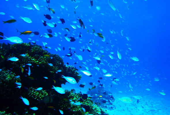 STEP1 現場を知る