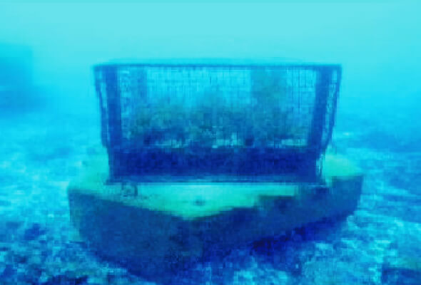 STEP3 測る・可視化する